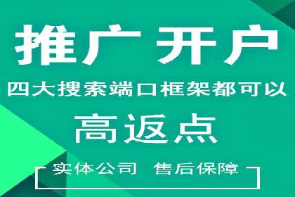 sem托管服务案例：如何实现广告投放精准化